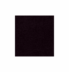 Neptune Auto Cloth "Black" (Solid Print)