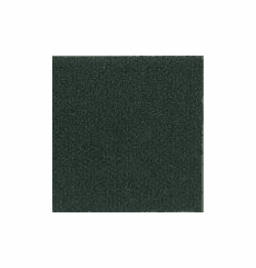 Neptune Auto Cloth "Spruce" (Solid Print)