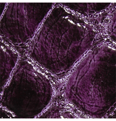 Nuvtex Boa "Grape" OUT OF STOCK