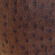 Ostrich Dark Brown Faux Leather