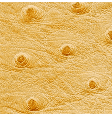 Ostrich Print Faux Leathers