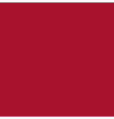 Outdoor Furniture Fabric Classic Cherry Red