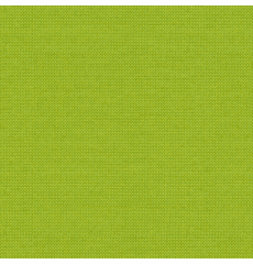 Outdoor Furniture Fabric Michelangelo Lime