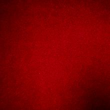 Plush Polyester Velvet