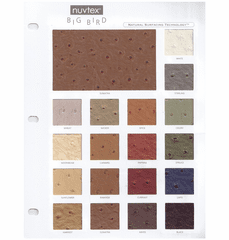 Purchase A Big Bird Sample Chart