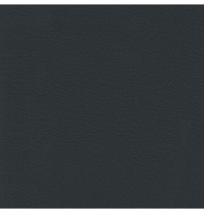 Revolution Corinthian Ebony