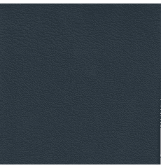 Revolution Corinthian Montana Blue