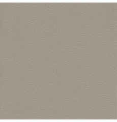 Revolution Corinthian Shale