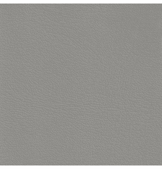 Revolution Corinthian Titanium