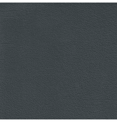 Revolution Corinthian Very Dark Pewter