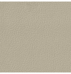 Revolution G-Grain Light Parchment