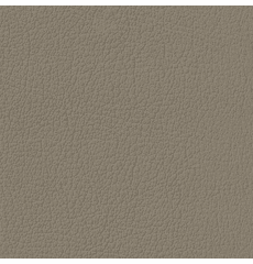 Revolution G-Grain Medium Parchment