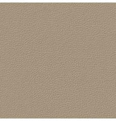 Revolution Longitude Light Cashmere