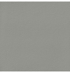 Revolution Longitude Light Titanium