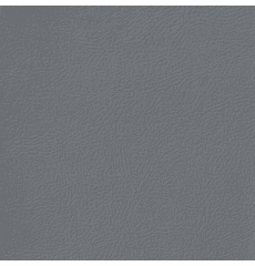 Revolution Montana Medium Graphite