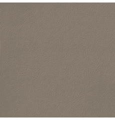 Revolution Montana Medium Prairie Tan