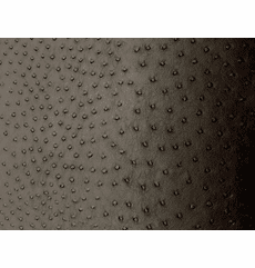 Safari Ostrich Black