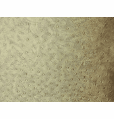 Safari Ostrich Harvest