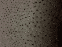 Safari Ostrich - Ostrich Faux Leather