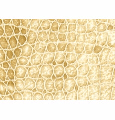 Skintex SF Aquatic "Buff"