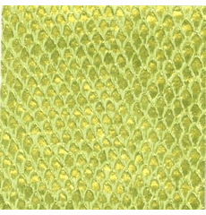 Skintex SF Exotic "Celery"