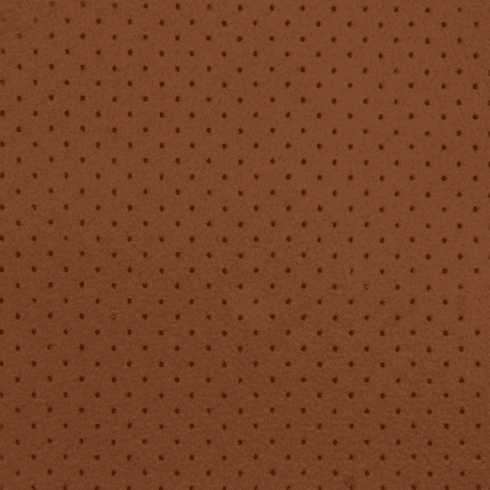 Sonoma Cork Mini Perforated Faux Leather