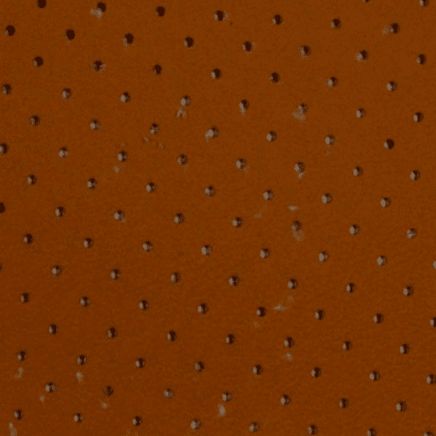 Sonoma Cork Perforated Faux Leather