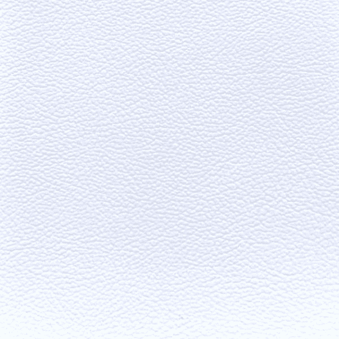 Sonoma Vintage White Faux Leather