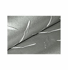 Specialty Automotive Vinyls