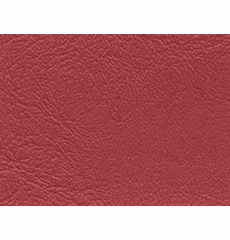 Sun Surf Bright Red