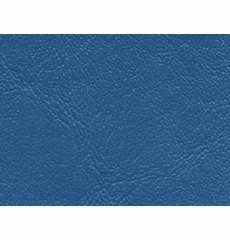 Sun Surf Royal Blue