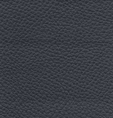 Sutton Dark Slate Gray