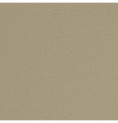 Symphony Classic Barley