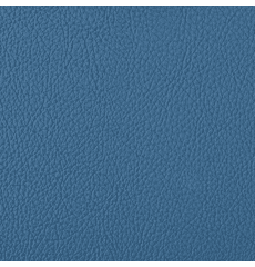 Symphony Classic Blue Ridge