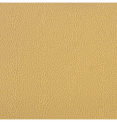 Symphony Classic Cashew