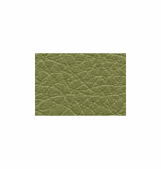 Symphony Classic Celery Discontinued - Low On Stock