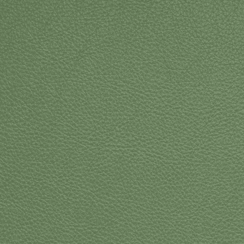 Symphony Classic Fern