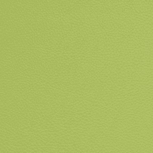 Symphony Classic Granny Smith