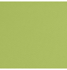 Symphony Classic Granny Smith