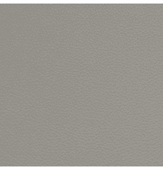 Symphony Classic Gunite