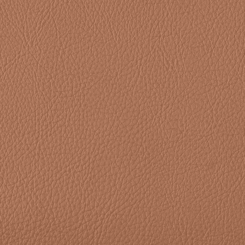 Symphony Classic Mustang