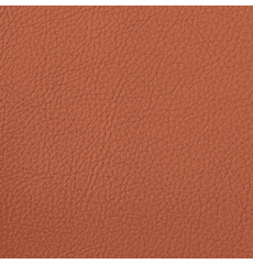 Symphony Classic Persimmon