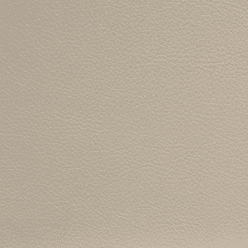 Symphony Classic Porcini