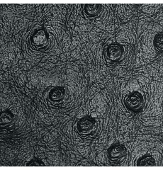 Titan Ostrich Faux Leather Black