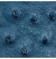 Titan Ostrich Faux Leather Blue