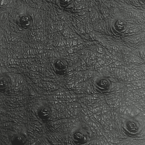 Titan Ostrich Faux Leather Charcoal