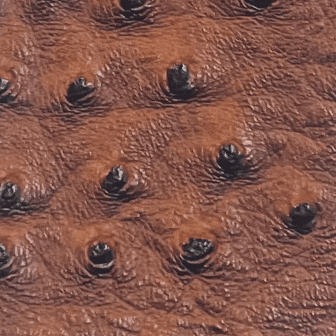 Titan Ostrich Faux Leather Chesnut