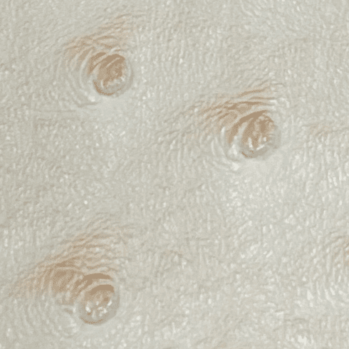 Titan Ostrich Faux Leather Cream