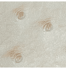 Titan Ostrich Faux Leather Cream