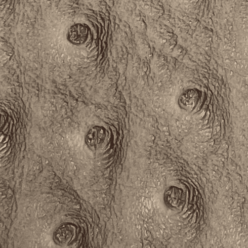 Titan Ostrich Faux Leather Light Coffee